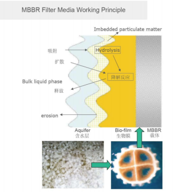 MBBR Media Key Components for Efficient Wastewater Treatment