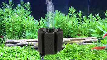 You Fish Need This Sponge Filter